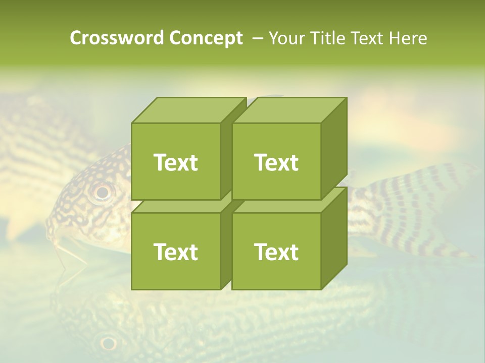 Environment Amazon Recreational PowerPoint Template