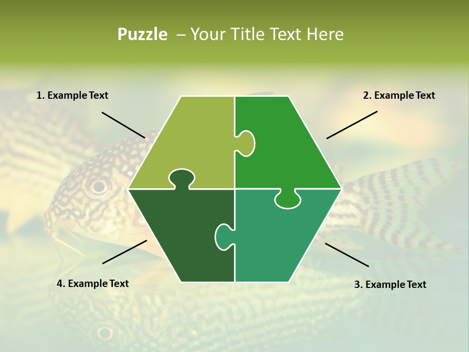 Environment Amazon Recreational PowerPoint Template