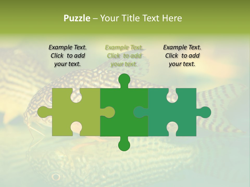 Environment Amazon Recreational PowerPoint Template