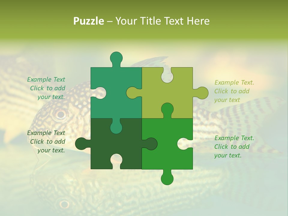 Environment Amazon Recreational PowerPoint Template