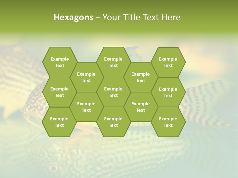 Environment Amazon Recreational PowerPoint Template