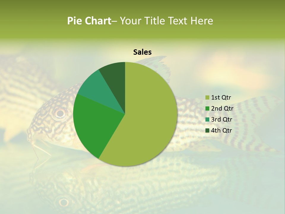 Environment Amazon Recreational PowerPoint Template