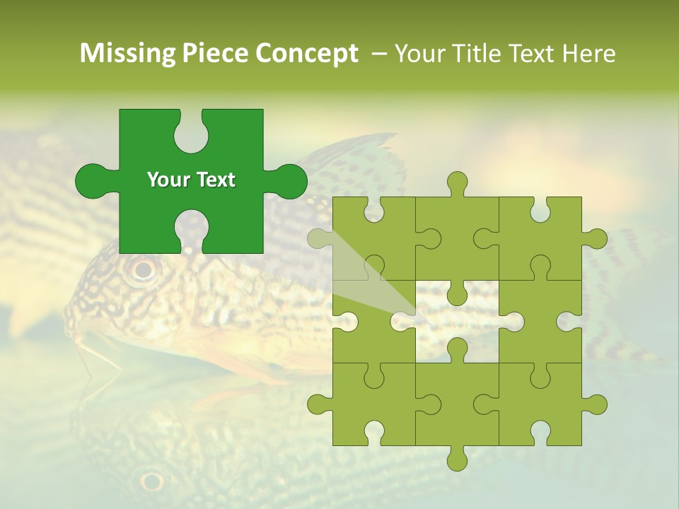 Environment Amazon Recreational PowerPoint Template