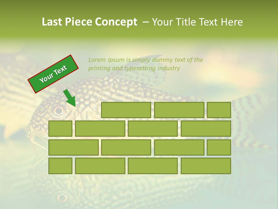 Environment Amazon Recreational PowerPoint Template