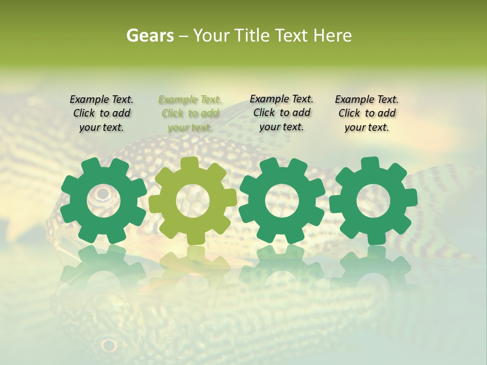 Environment Amazon Recreational PowerPoint Template