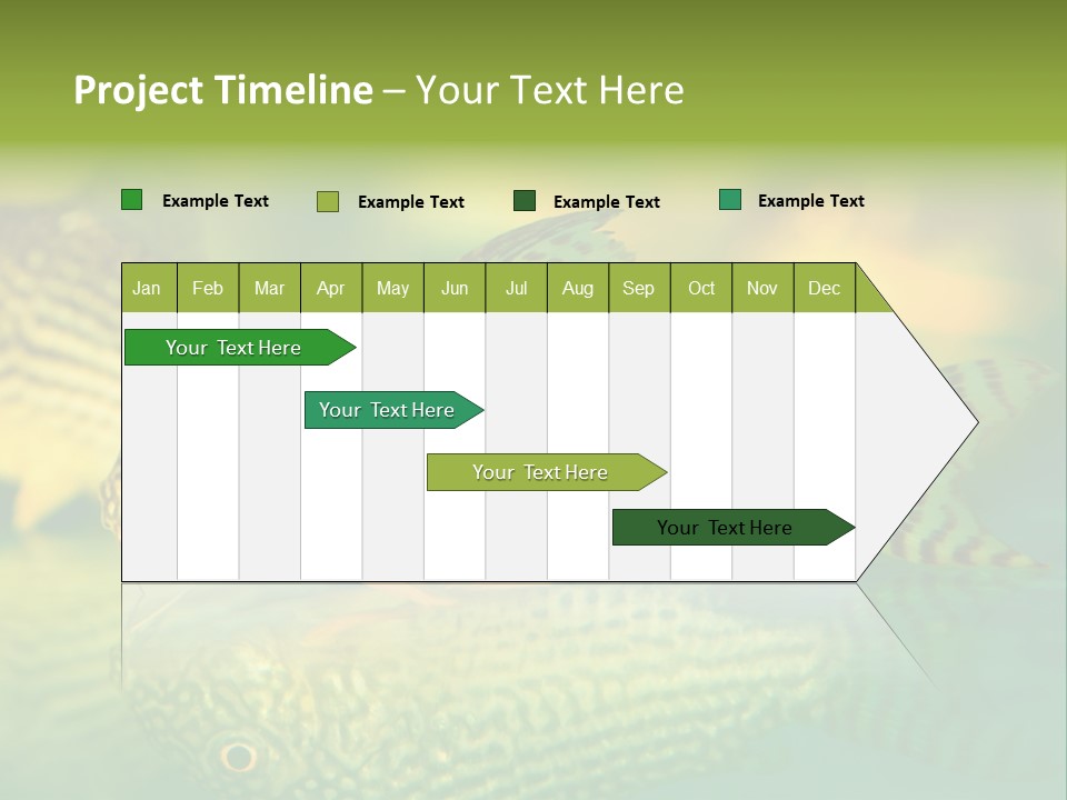 Environment Amazon Recreational PowerPoint Template