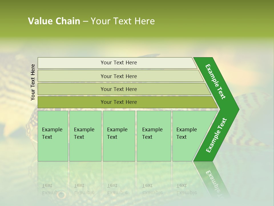 Environment Amazon Recreational PowerPoint Template