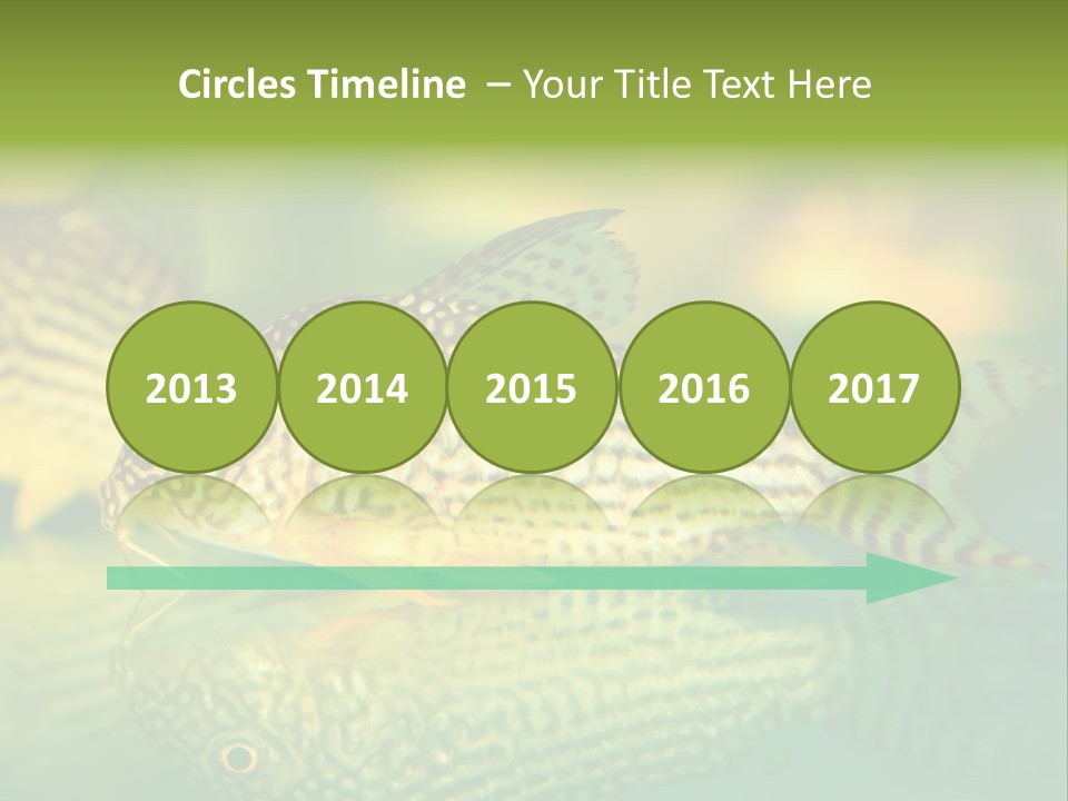 Environment Amazon Recreational PowerPoint Template