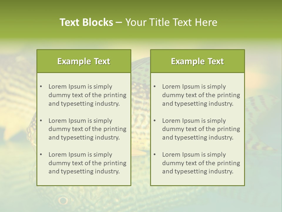 Environment Amazon Recreational PowerPoint Template