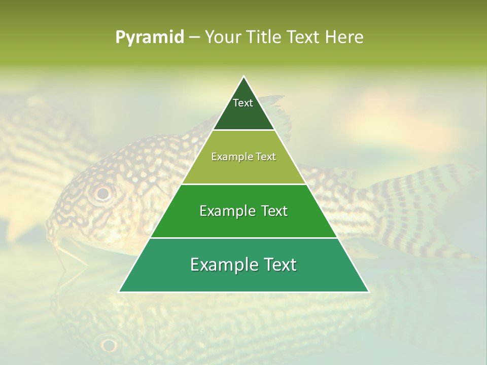 Environment Amazon Recreational PowerPoint Template