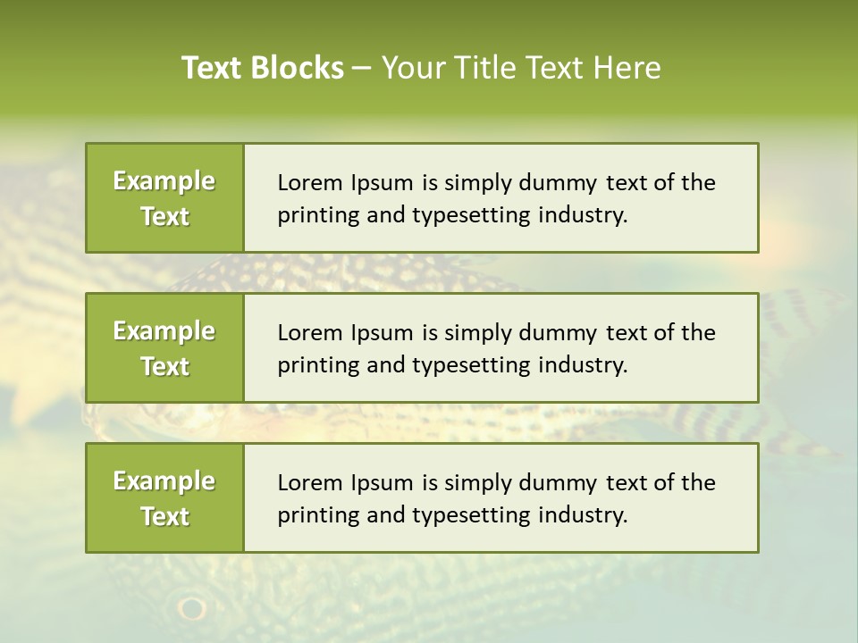 Environment Amazon Recreational PowerPoint Template