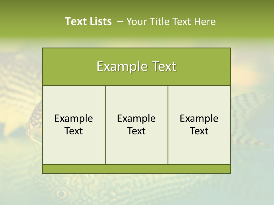 Environment Amazon Recreational PowerPoint Template