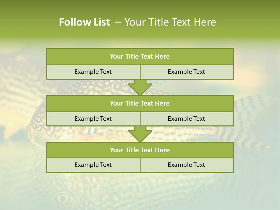 Environment Amazon Recreational PowerPoint Template