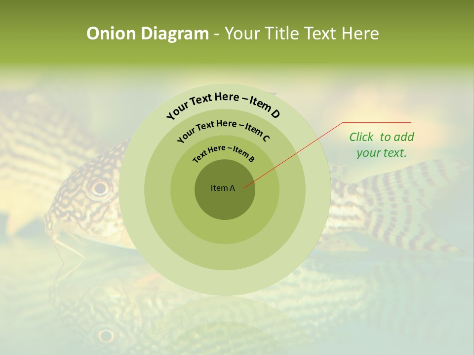 Environment Amazon Recreational PowerPoint Template