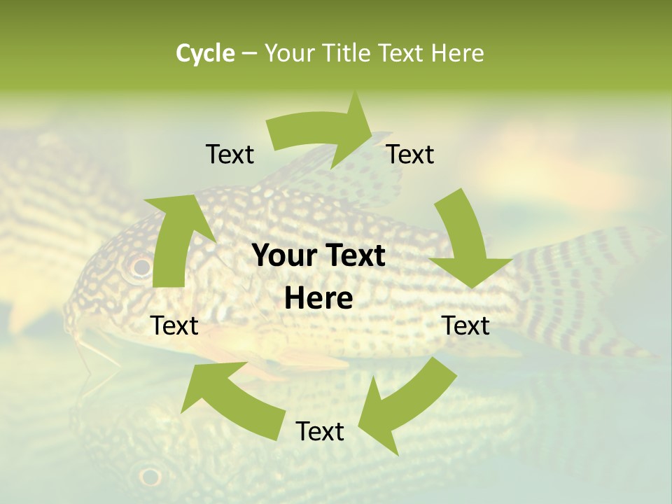 Environment Amazon Recreational PowerPoint Template