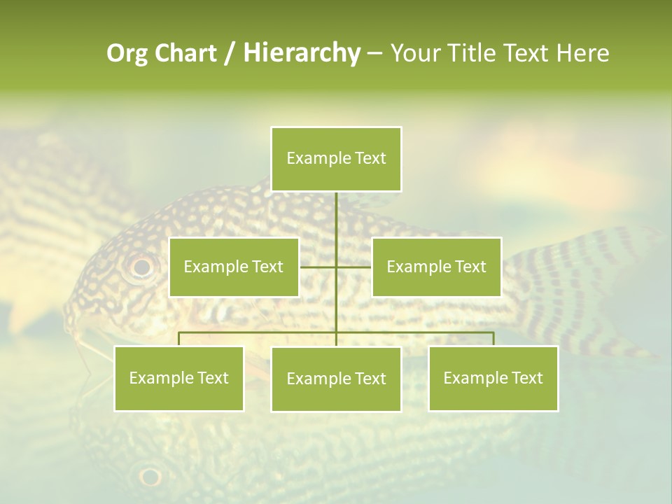 Environment Amazon Recreational PowerPoint Template