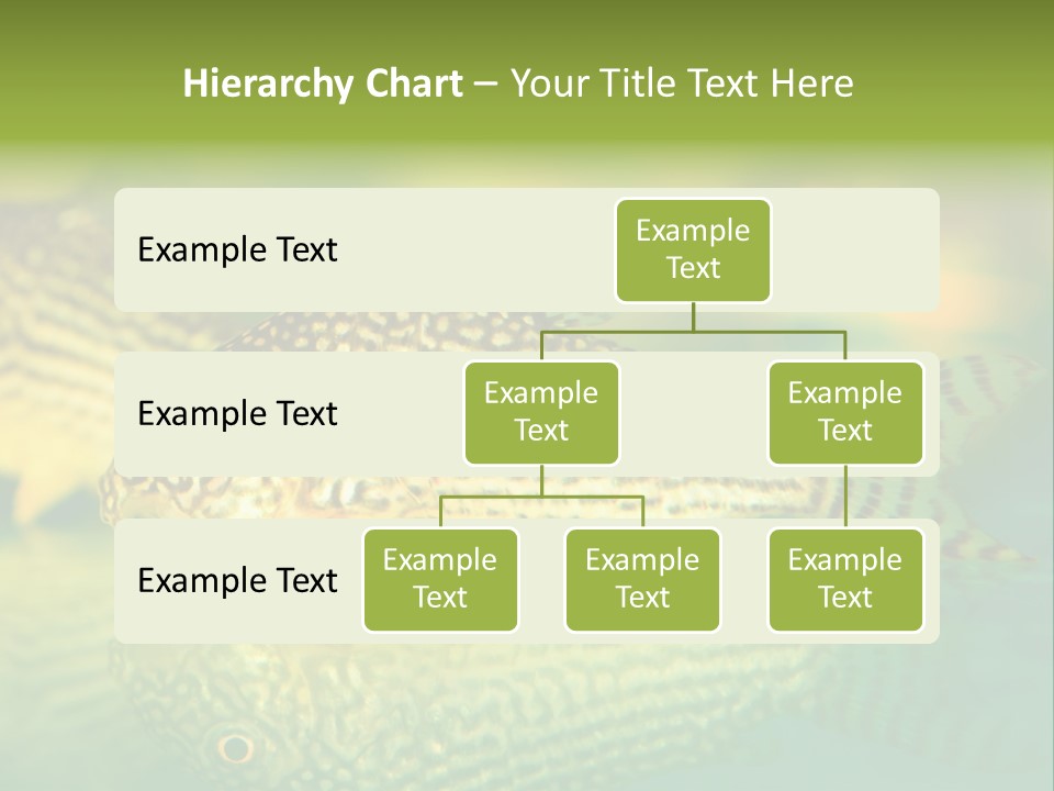 Environment Amazon Recreational PowerPoint Template