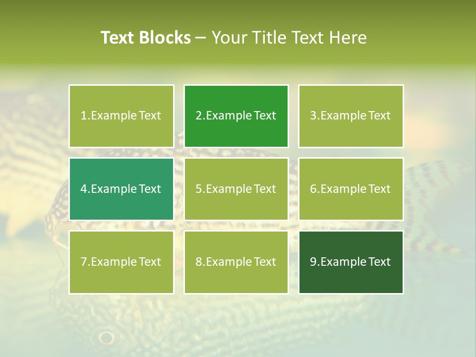 Environment Amazon Recreational PowerPoint Template