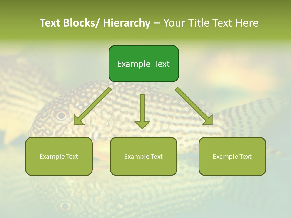 Environment Amazon Recreational PowerPoint Template