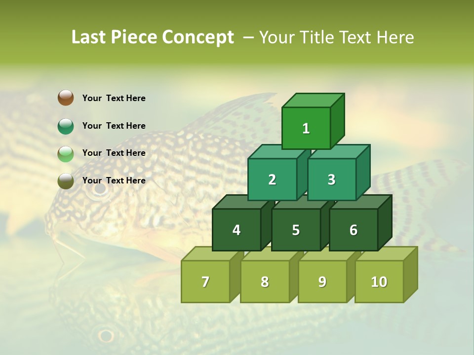 Environment Amazon Recreational PowerPoint Template