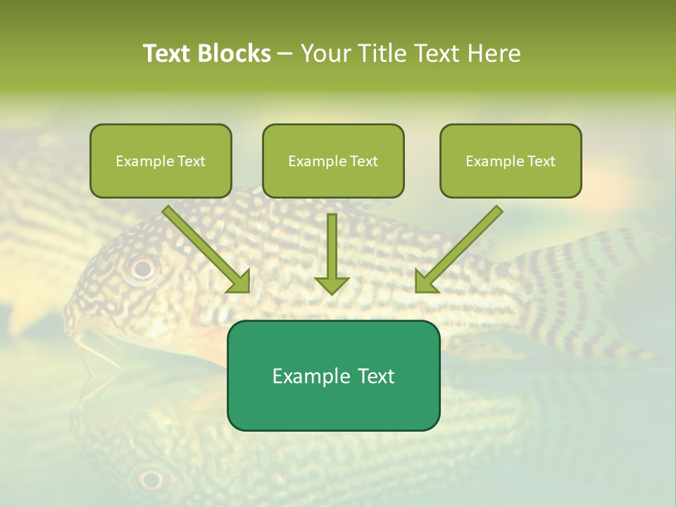 Environment Amazon Recreational PowerPoint Template