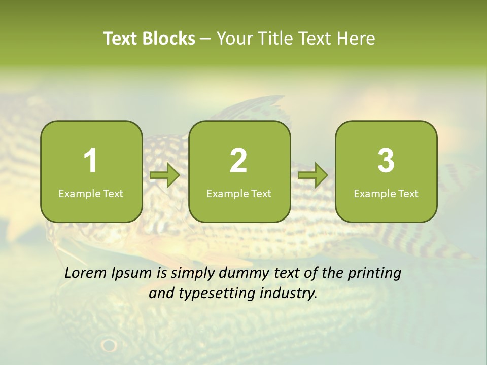 Environment Amazon Recreational PowerPoint Template
