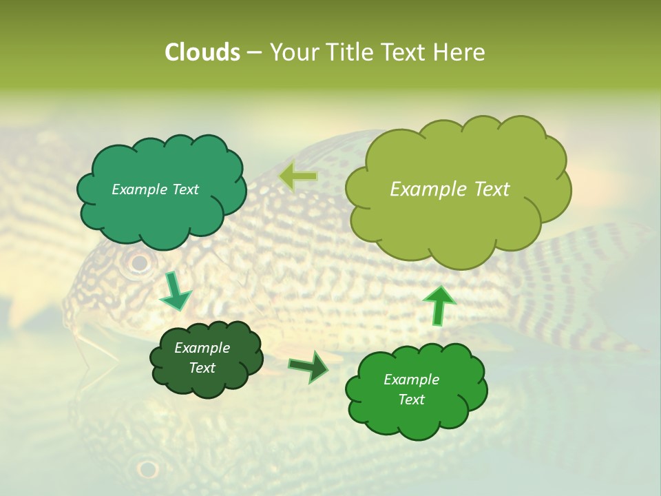Environment Amazon Recreational PowerPoint Template