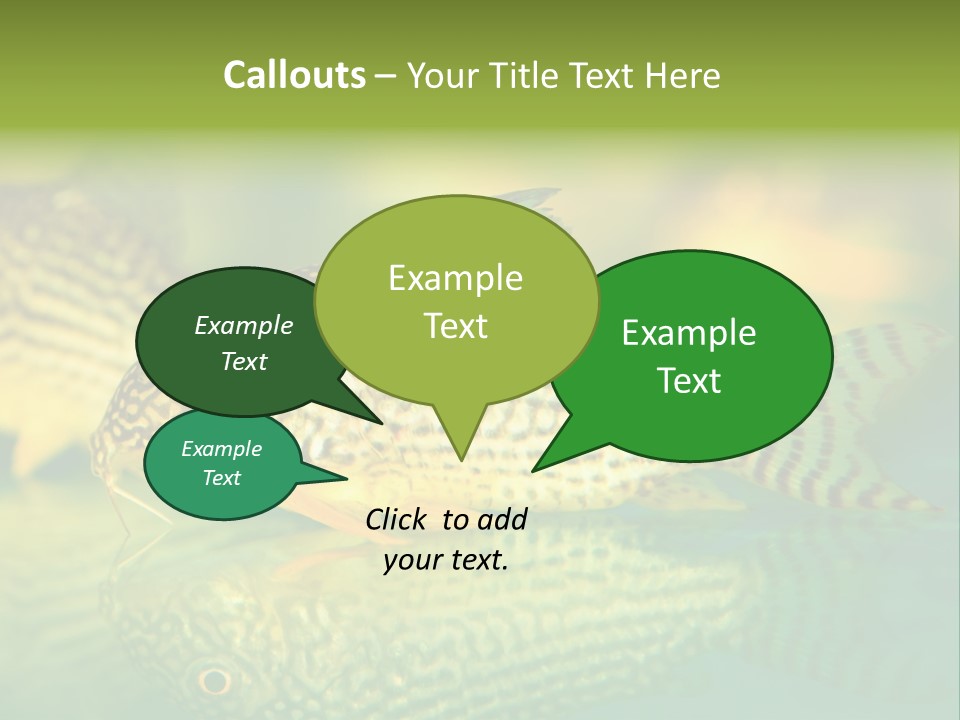 Environment Amazon Recreational PowerPoint Template