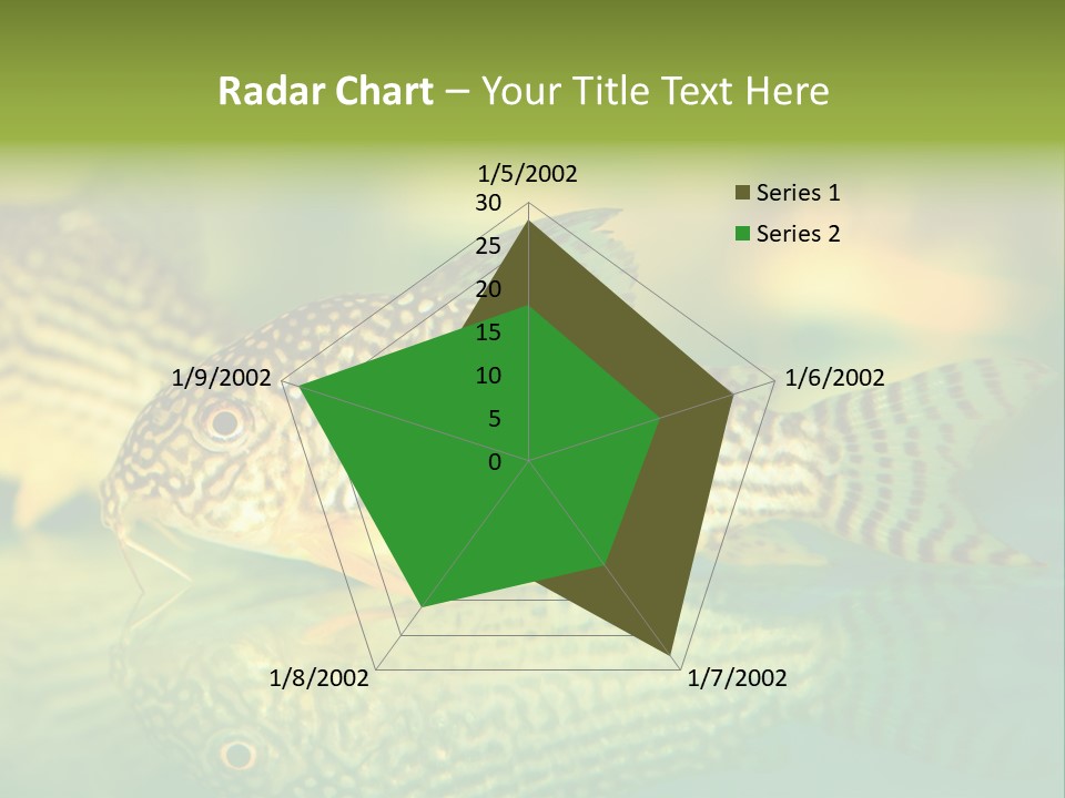 Environment Amazon Recreational PowerPoint Template