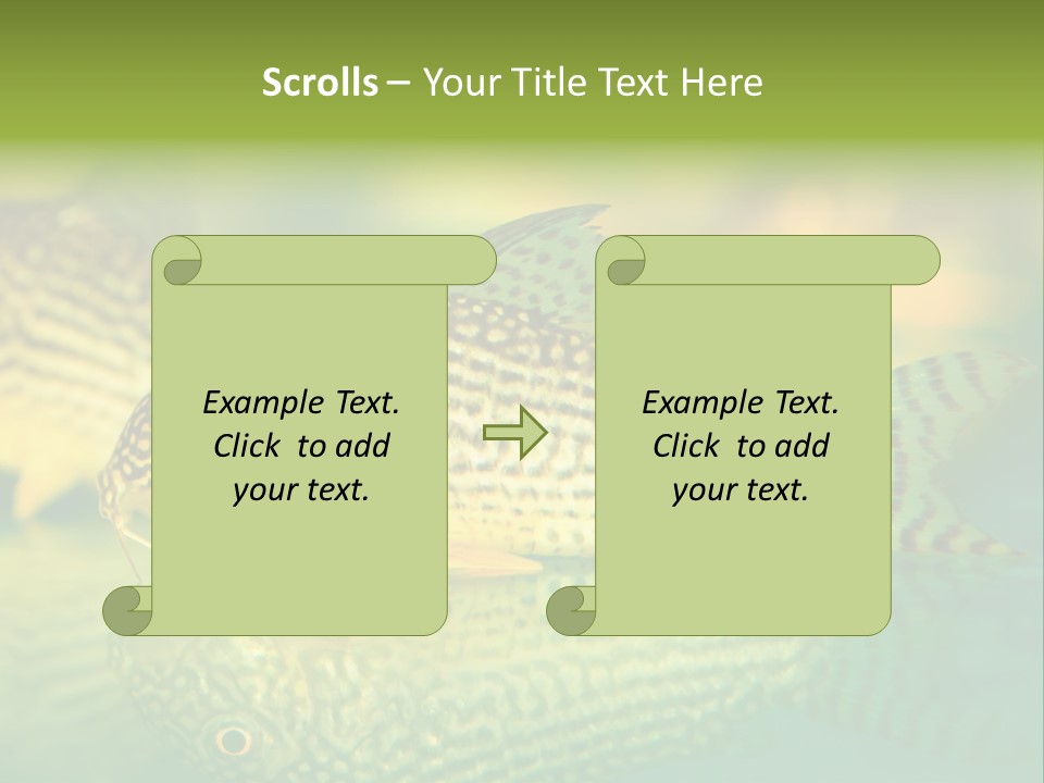 Environment Amazon Recreational PowerPoint Template