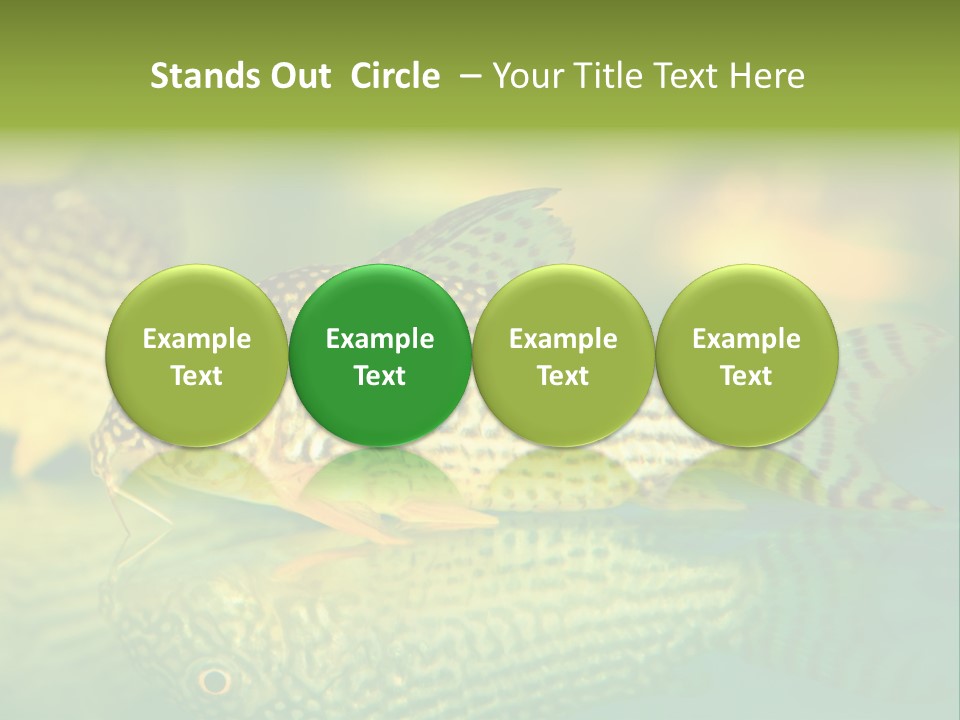 Environment Amazon Recreational PowerPoint Template