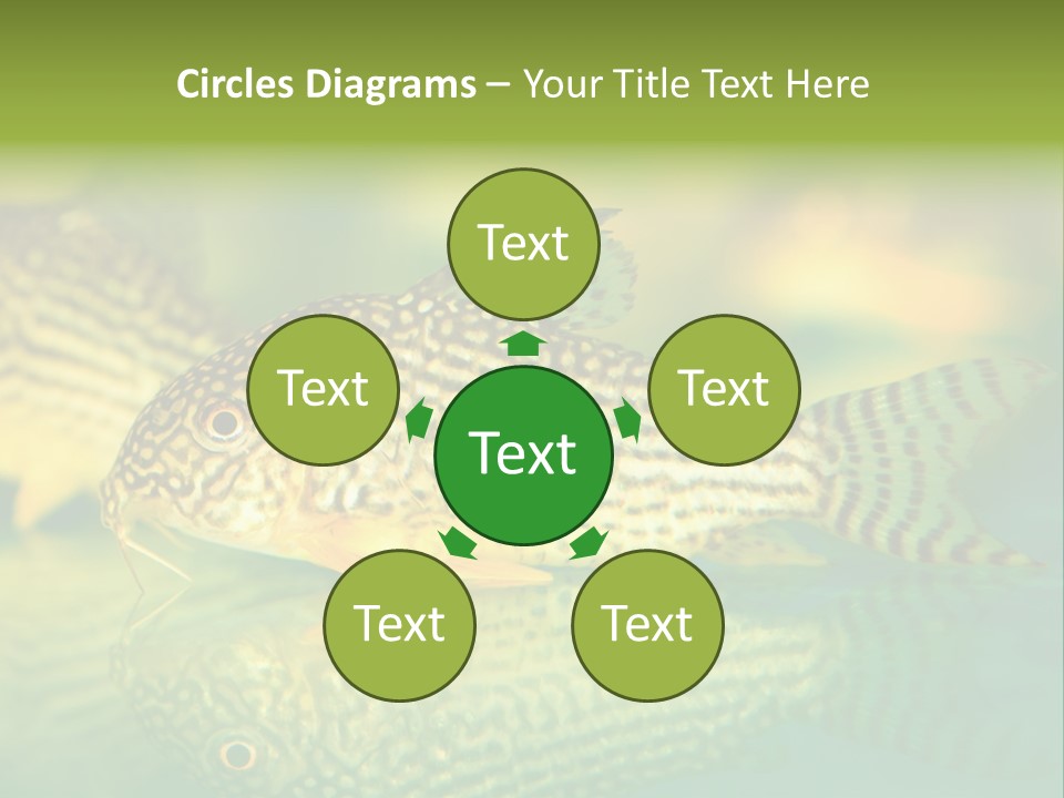Environment Amazon Recreational PowerPoint Template