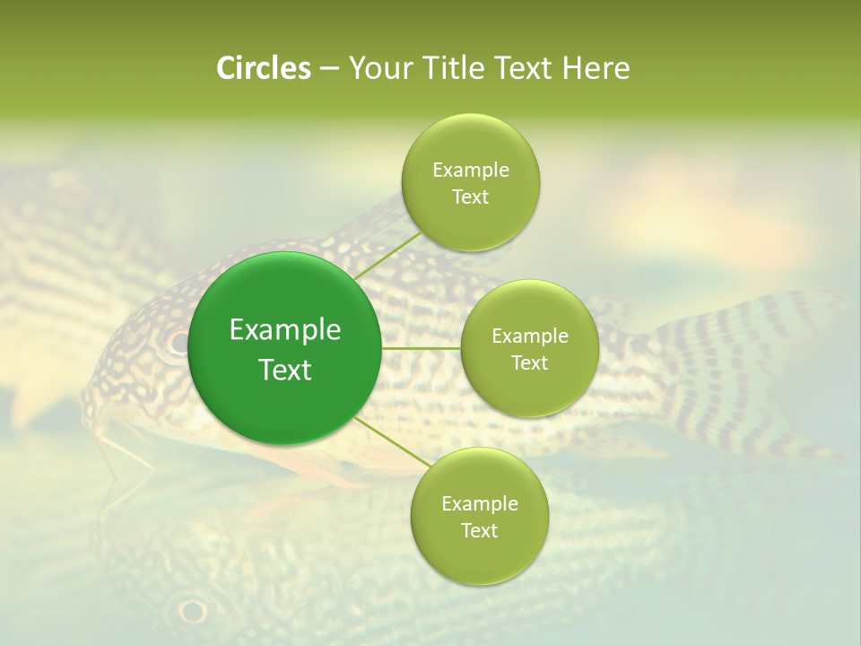 Environment Amazon Recreational PowerPoint Template