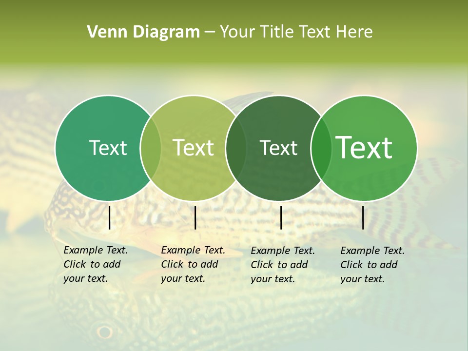 Environment Amazon Recreational PowerPoint Template