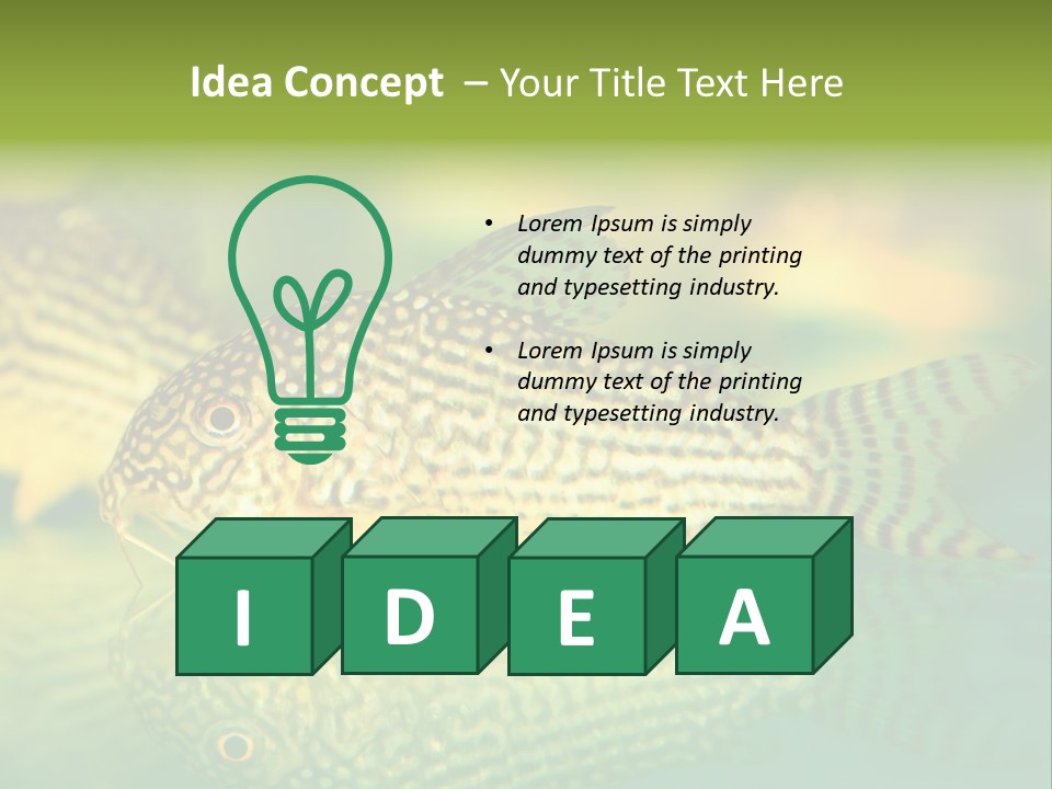 Environment Amazon Recreational PowerPoint Template