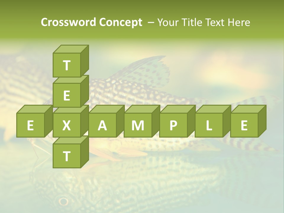 Environment Amazon Recreational PowerPoint Template