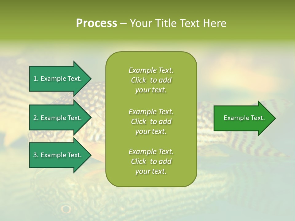 Environment Amazon Recreational PowerPoint Template