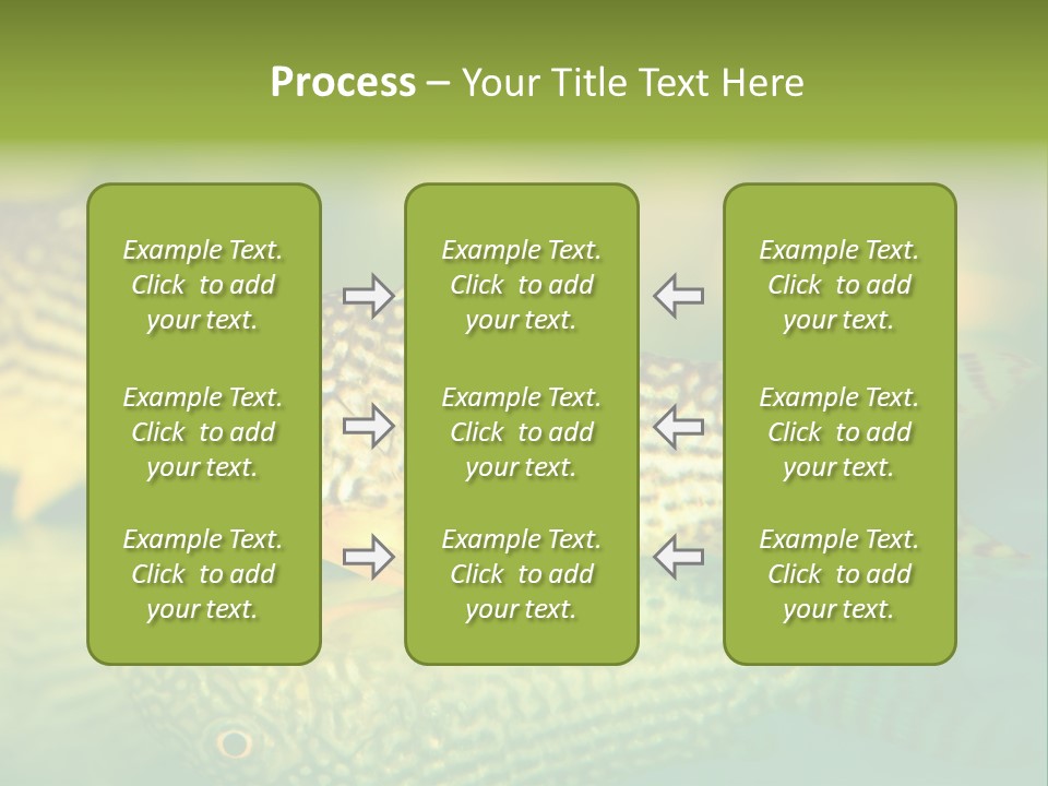 Environment Amazon Recreational PowerPoint Template