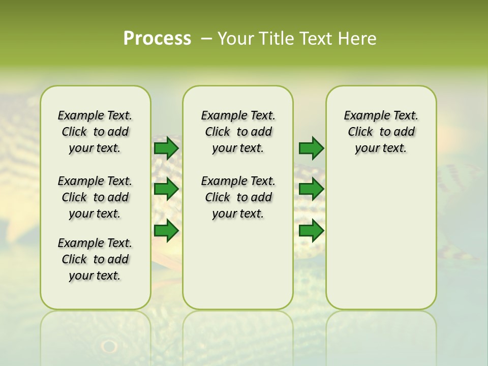Environment Amazon Recreational PowerPoint Template