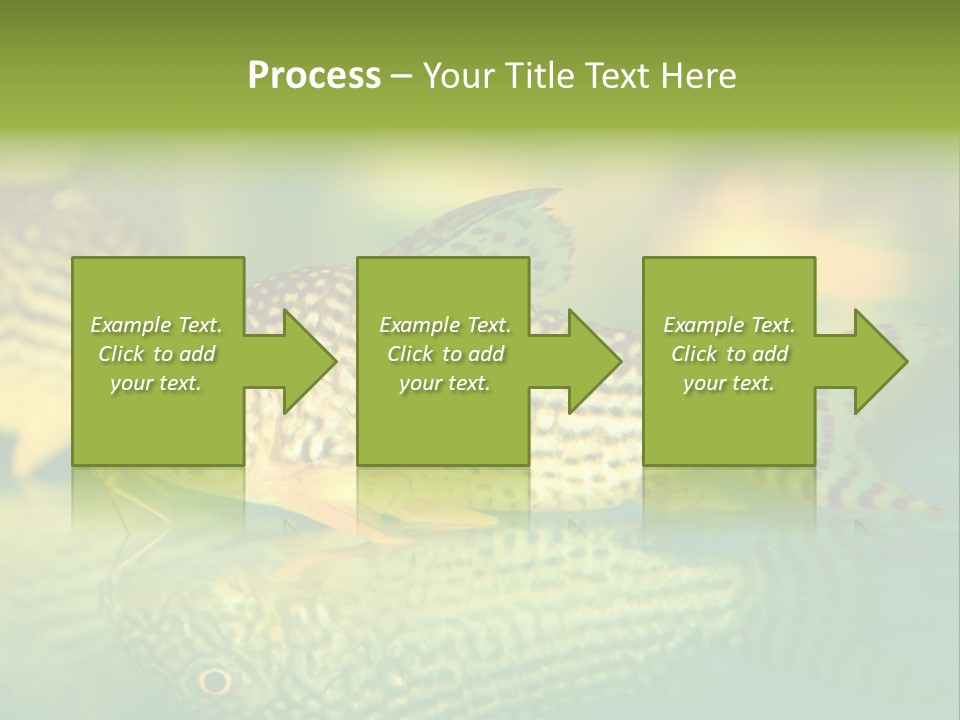 Environment Amazon Recreational PowerPoint Template