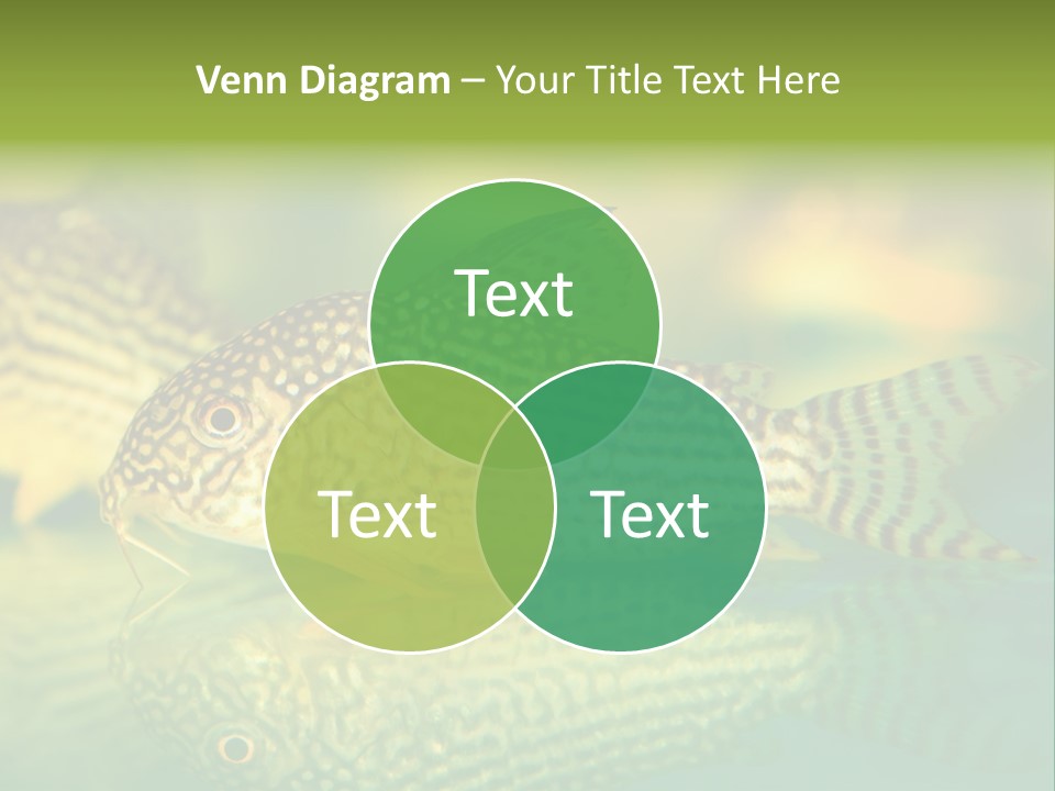 Environment Amazon Recreational PowerPoint Template