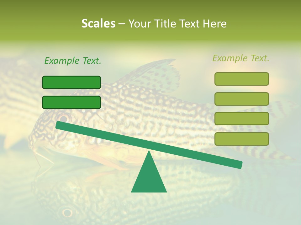 Environment Amazon Recreational PowerPoint Template