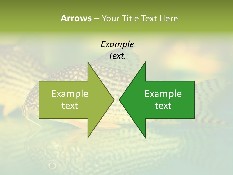 Environment Amazon Recreational PowerPoint Template