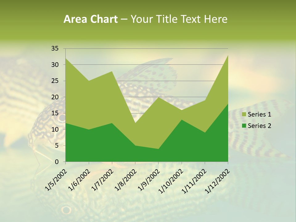 Environment Amazon Recreational PowerPoint Template