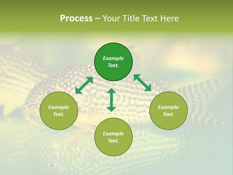 Environment Amazon Recreational PowerPoint Template