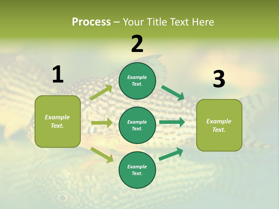 Environment Amazon Recreational PowerPoint Template