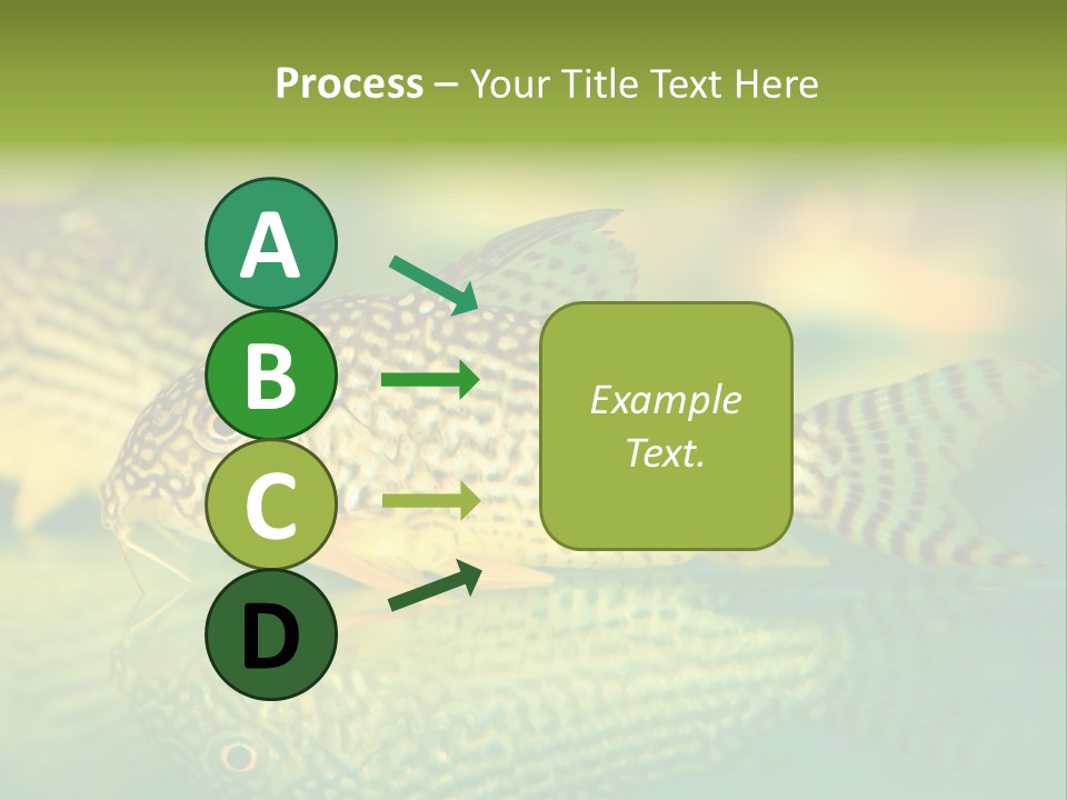 Environment Amazon Recreational PowerPoint Template