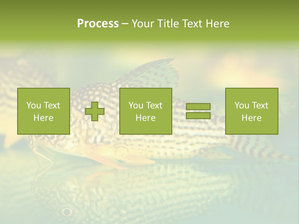 Environment Amazon Recreational PowerPoint Template