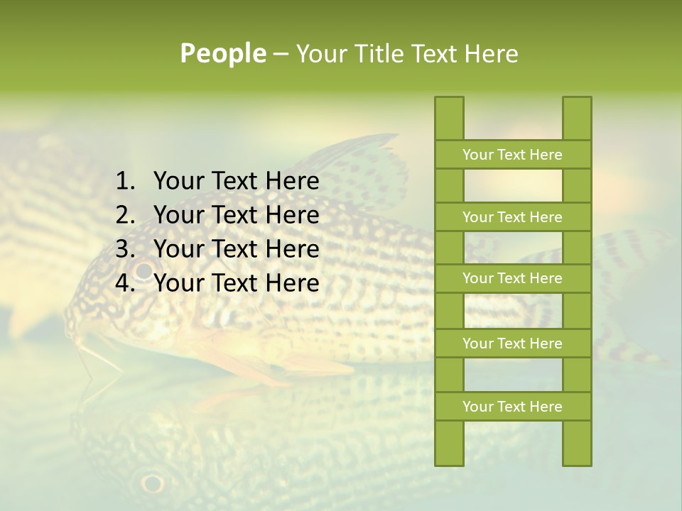Environment Amazon Recreational PowerPoint Template