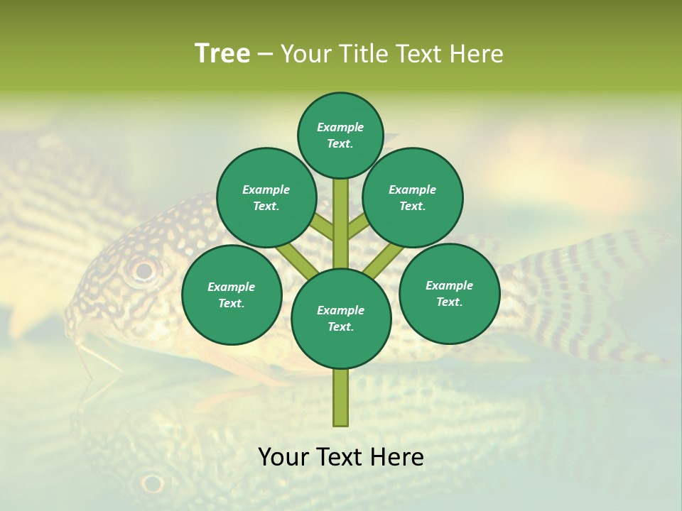 Environment Amazon Recreational PowerPoint Template
